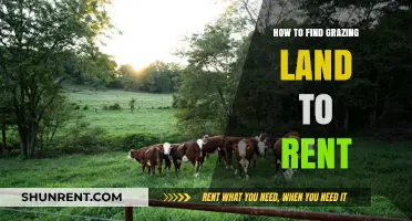 Finding Grazing Land for Rent: A Comprehensive Guide for Farmers