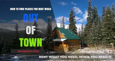 Remote Rental Search: Tips for Finding Places Out of Town