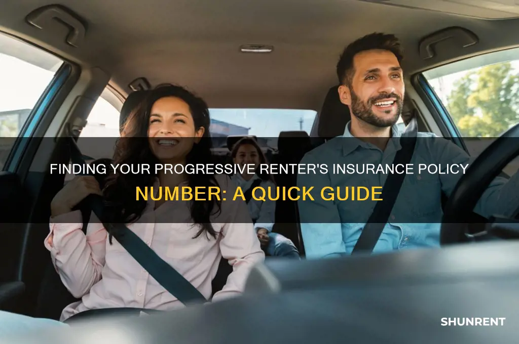 how to find progressive renter