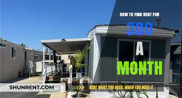 Affordable Living: Tips to Secure $300 Monthly Rent Successfully