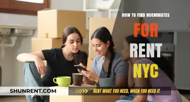 Finding the Perfect Roommates for Rent in NYC: A Comprehensive Guide