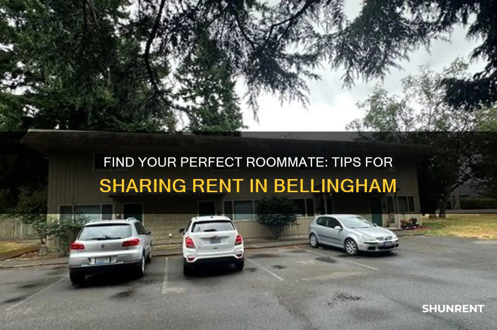 how to find someone to share rent with bellingham