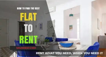 Finding Your Perfect Rental: Tips for Choosing the Best Flat