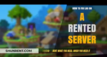 Effective Strategies to Eliminate Lag on Your Rented Server