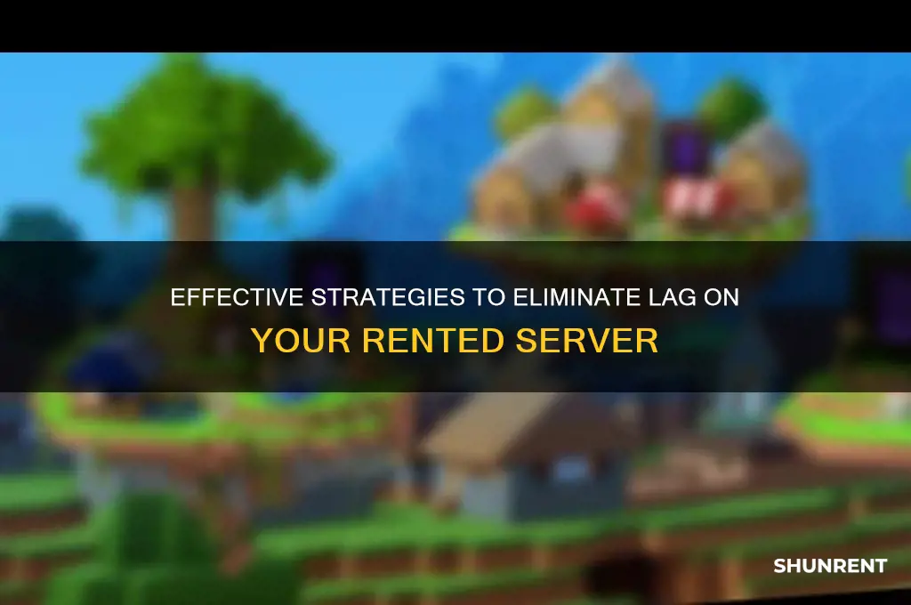 how to fix lag on a rented server