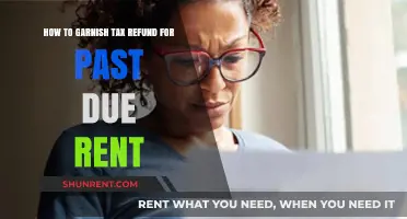 Maximize Your Tax Refund: Strategies to Cover Past Due Rent
