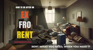 Reclaiming Your Belongings: A Guide to Pursuing an Ex for Unpaid Rent