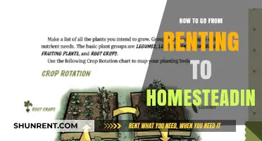 From Renting to Homesteading: A Beginner's Guide to Self-Sufficiency