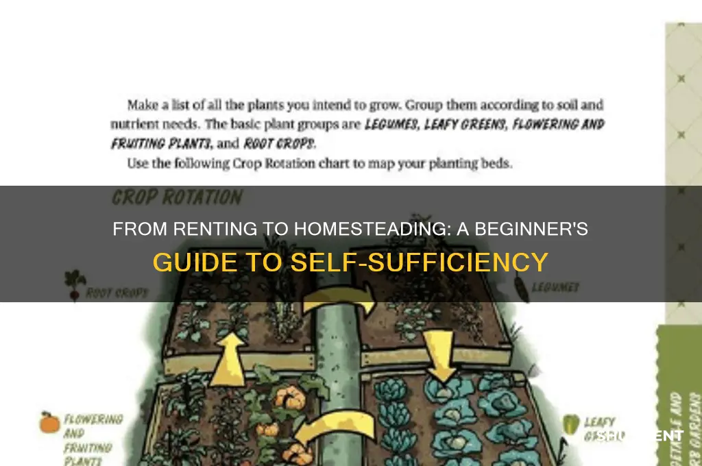how to go from renting to homesteading