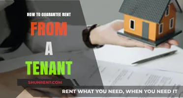Secure Your Rental Income: Proven Strategies to Guarantee Tenant Rent Payments