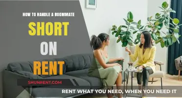 Navigating Rent Shortfalls: Strategies for Handling a Roommate in Debt