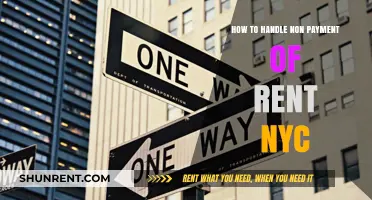 Handling Non-Payment of Rent in NYC: A Landlord's Guide