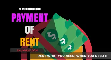 Effective Strategies for Landlords: Handling Non-Payment of Rent Issues