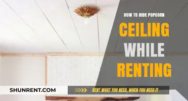 Creative Ways to Conceal Popcorn Ceilings in Your Rental Home