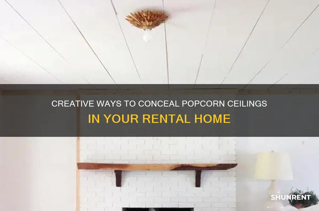 how to hide popcorn ceiling while renting