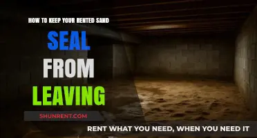 Preventing Your Rented Sand Seal from Escaping: Effective Tips and Tricks