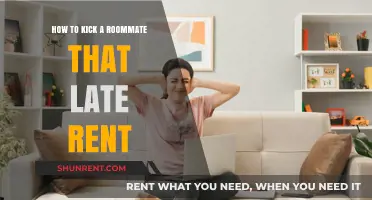 Dealing with Late Rent: How to Address Roommate Payment Issues