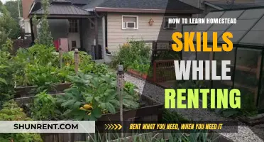 Master Homestead Skills in Rental Spaces: Tips for Urban Homesteaders