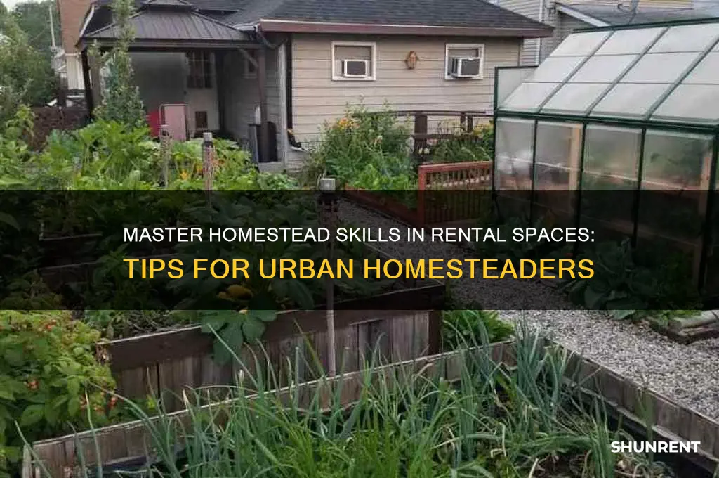 how to learn homestead skills while renting