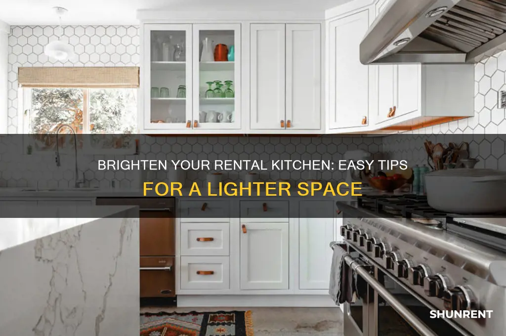 how to lighten up a dark kitchen when renting