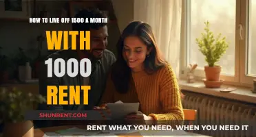 Smart Budgeting: Surviving on $1500 Monthly with $1000 Rent