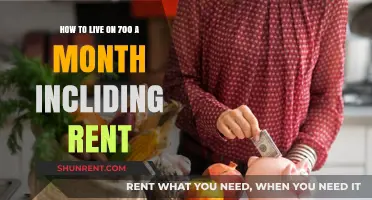 Frugal Living Guide: Surviving on $700 Monthly, Rent Included