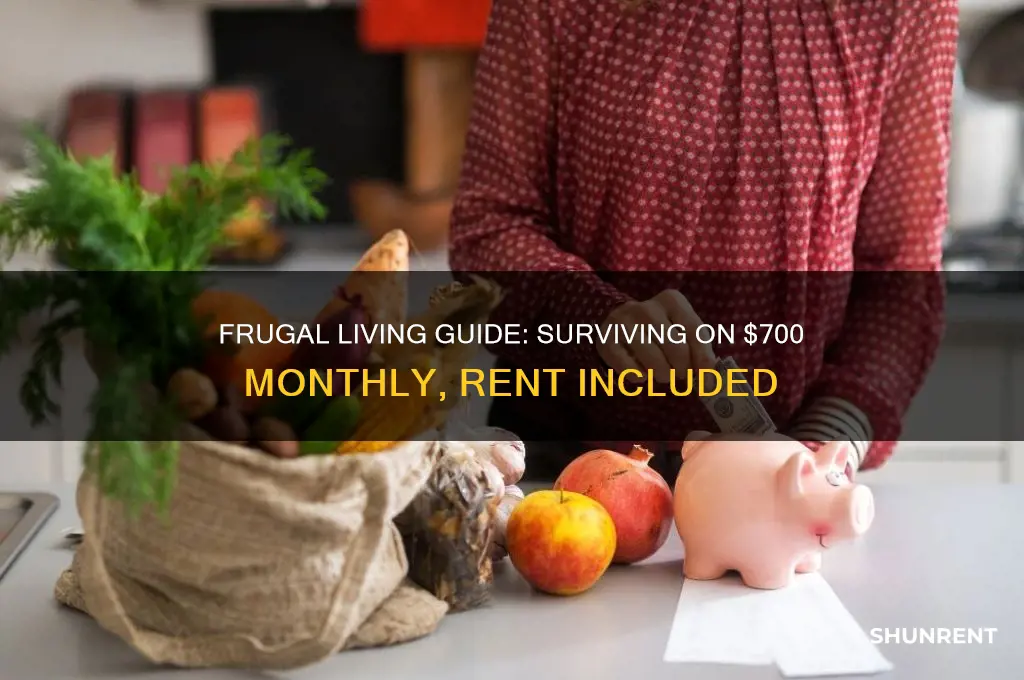 how to live on 700 a month incliding rent