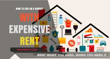 Surviving High Rent: Smart Budgeting Tips for Costly Urban Living