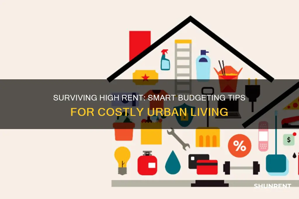 how to live on a budget with expensive rent