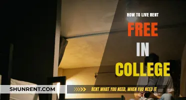 Smart Strategies to Live Rent-Free During Your College Years