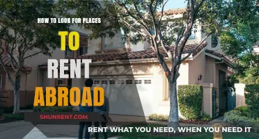 Finding Your Perfect Rental Abroad: Tips for a Smooth Search