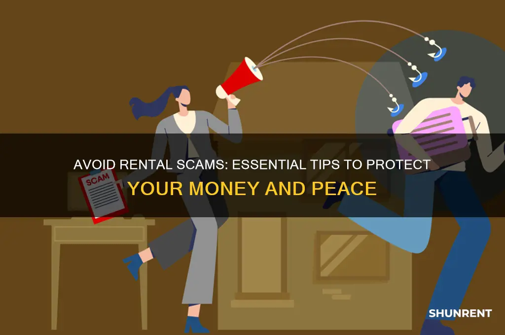 how to look out for rent scams