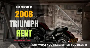 Effective Strategies to Reduce Maintenance Costs for Your 2006 Triumph Rocket III