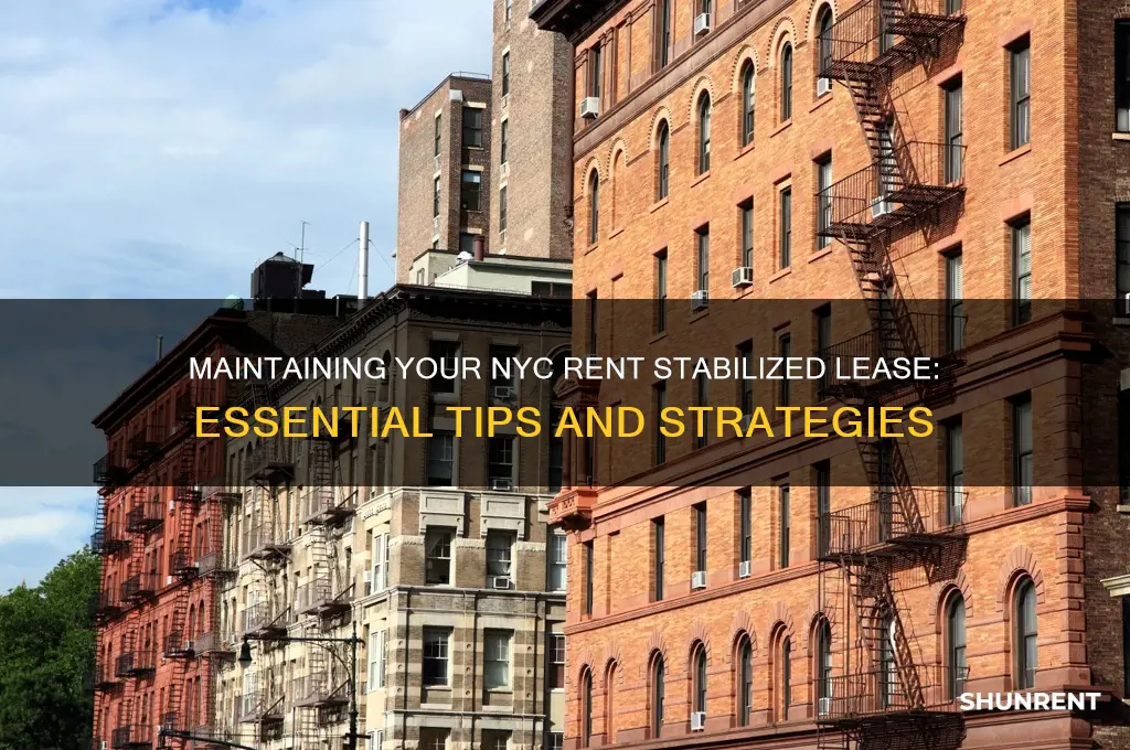 how to maintain a rent stabilized lease nyc