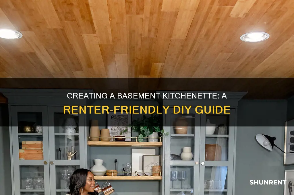 how to make a kitchenette in basement for renter