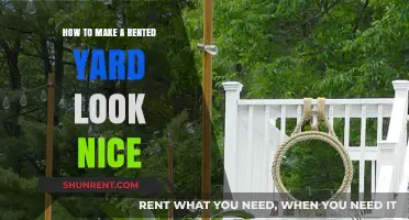 Transform Your Rented Yard: Easy Tips for a Beautiful Outdoor Space