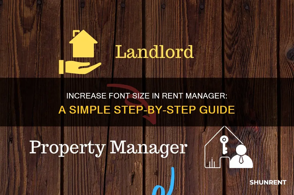 how to make font larger in rent manager