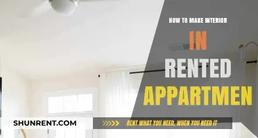 Creative Tips for Styling Your Rented Apartment Interior on a Budget