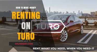 Maximize Your Earnings: A Guide to Profitable Turo Car Rentals