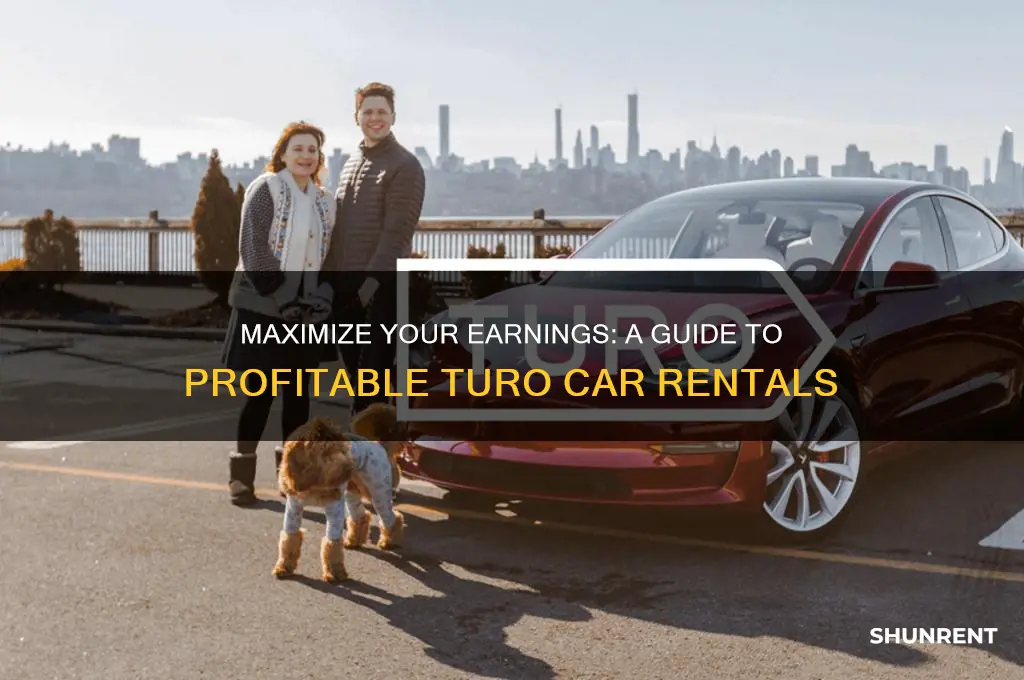 how to make money renting on turo
