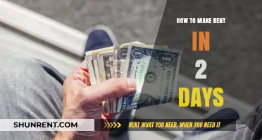 Quick Cash Strategies: How to Earn Rent Money in 2 Days