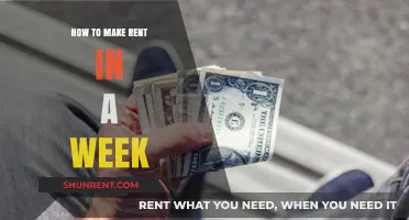 Quick Cash Strategies: How to Earn Rent Money in One Week