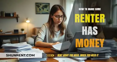 Ensuring Renter Financial Stability: Tips for Landlords to Verify Income