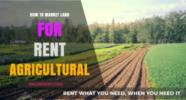 Effective Strategies to Market Your Agricultural Land for Rent Successfully
