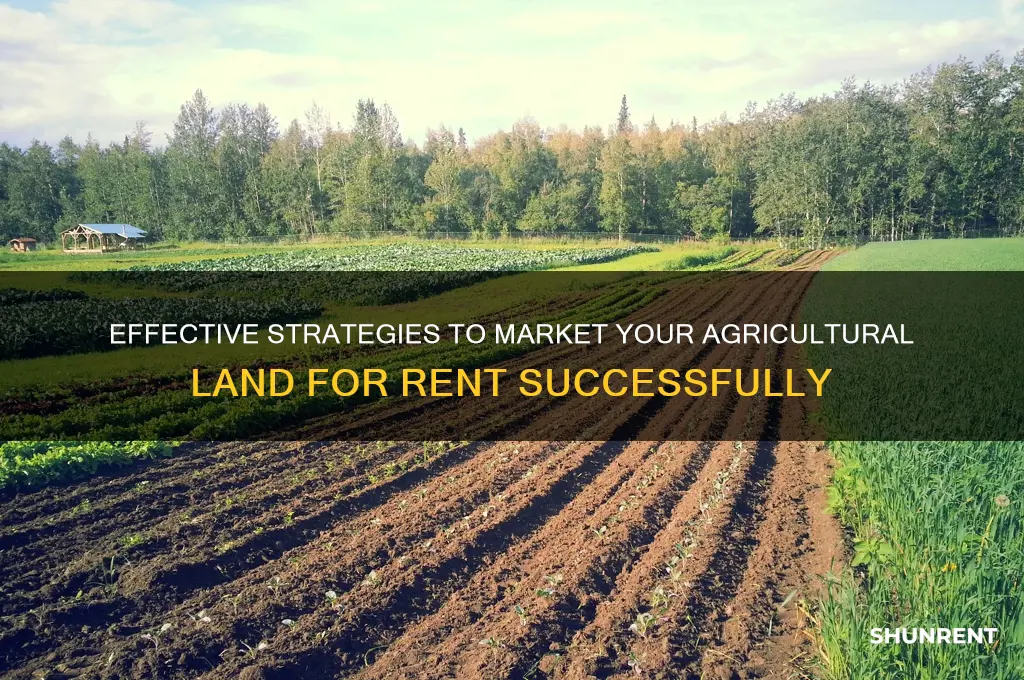 how to market land for rent agricultural
