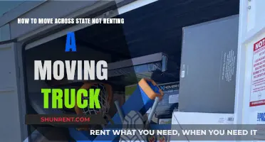 Alternative Moving Strategies: How to Relocate Across States Without a Truck