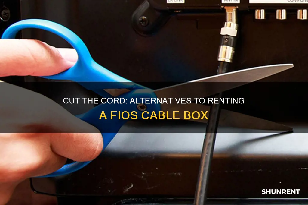 how to not rent a fios cable box