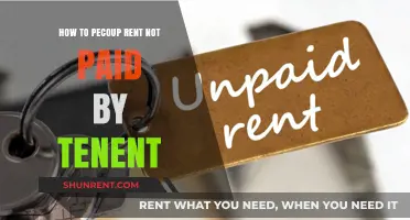 Effective Strategies to Recover Unpaid Rent from Tenants Legally