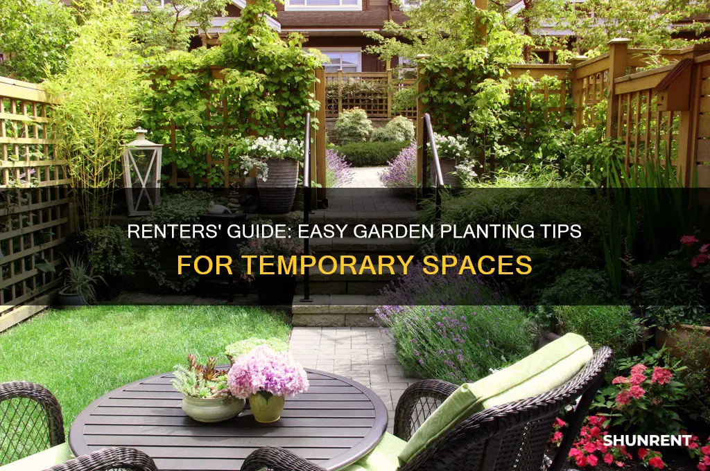 how to plant a garden while renting