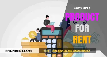 Effective Strategies for Pricing Your Rental Products Profitably